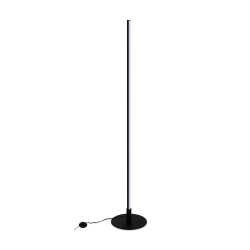 Напольный светильник (торшер) Freya FR6122FL-L22B