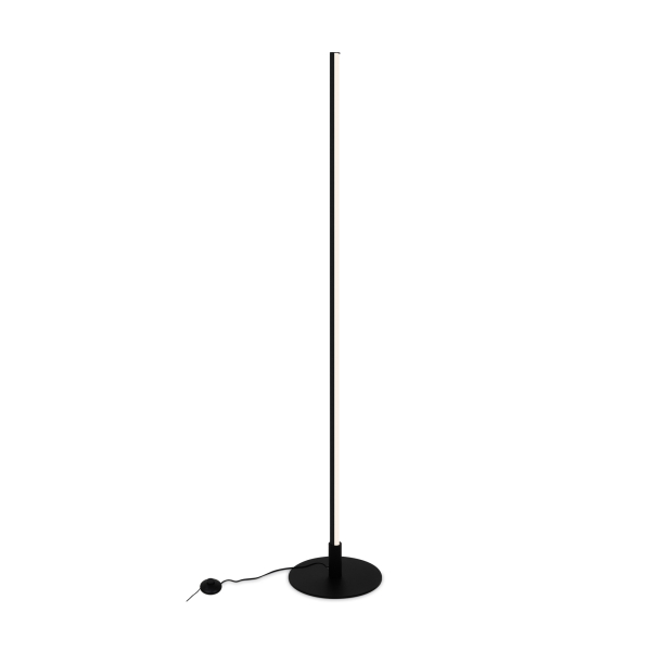 Напольный светильник (торшер) Freya FR6122FL-L22B