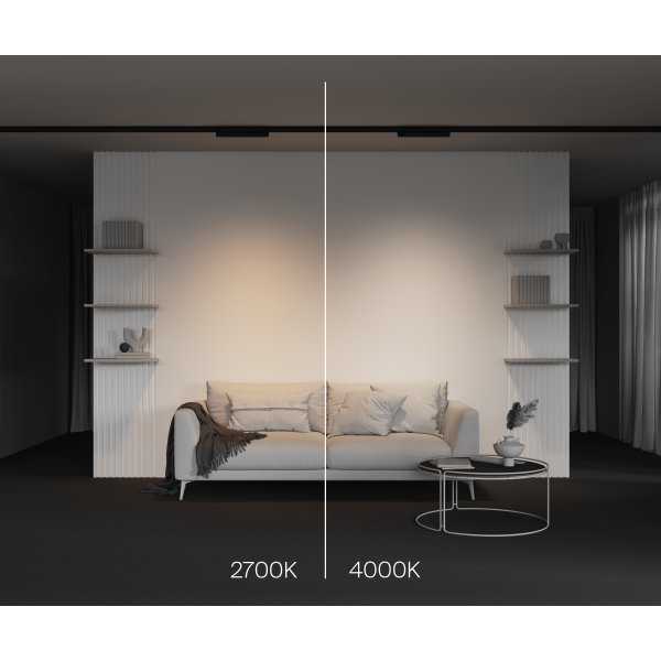 Трековый светильник Technical TR196-3-10W2.7K-B(N)