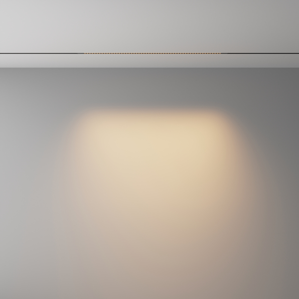 Трековый светильник Technical TR241-2-12W3K-B