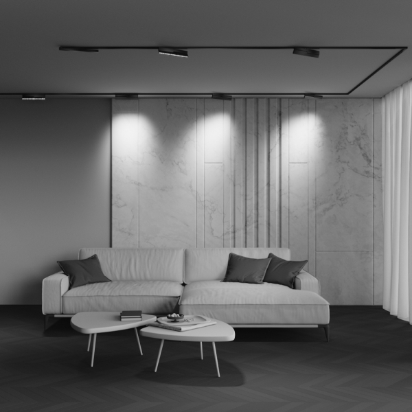 Трековый светильник Technical TR242-2-12W4K-B