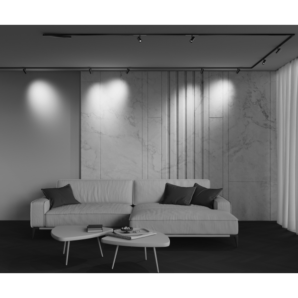 Трековый светильник Technical TR243-5W4K-B