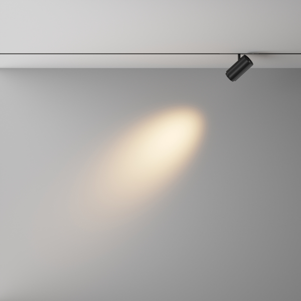 Трековый светильник Technical TR244-4-12WTW-DD2-B