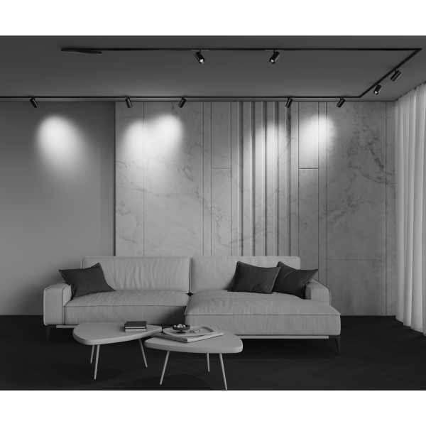 Трековый светильник Technical TR244-12W4K-B