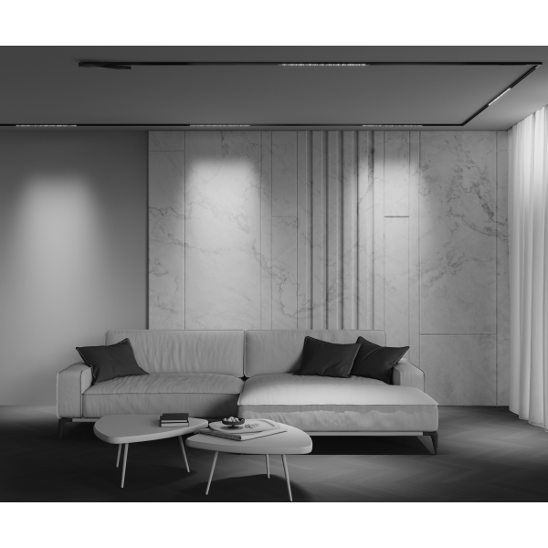 Трековый светильник Technical TR241-2-12W4K-B