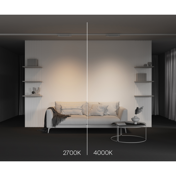 Трековый светильник Technical TR196-3-10W2.7K-W(N)