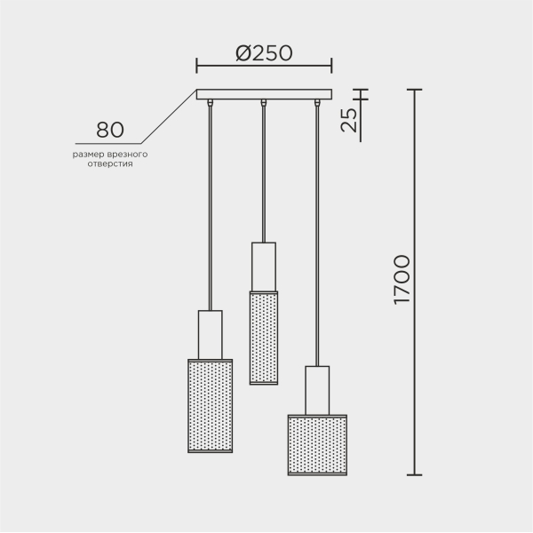 Подвесной светильник MODEMODERN MD.0655.250