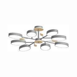 Потолочный cветильник LED4U L3221-850 GR