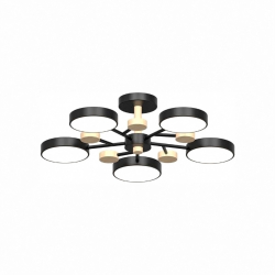 Потолочный cветильник LED4U L3204-620 BK